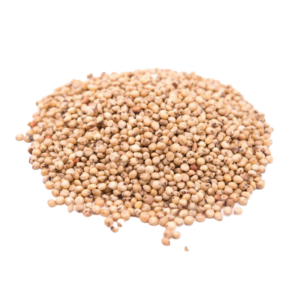 Malted barley Sorghum