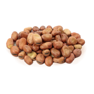 faba-beans-whole Faba Beans