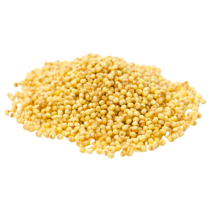 yellow millet Yellow Millet